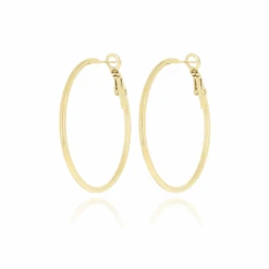Gold Classic Hoops Earrings